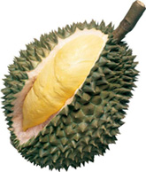 Durian Runtuh!
